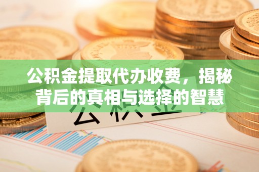岳塘公积金提取代办收费，揭秘背后的真相与选择的智慧