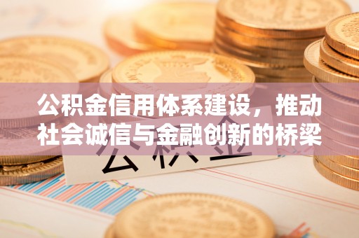 岳塘公积金信用体系建设，推动社会诚信与金融创新的桥梁