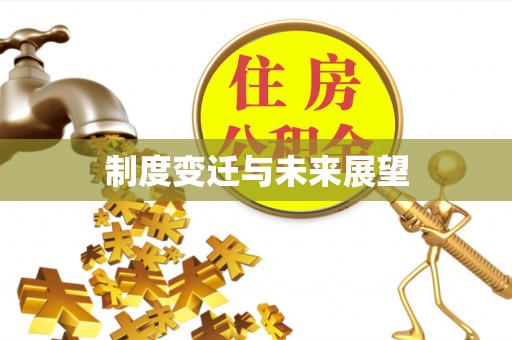 岳塘制度变迁与未来展望