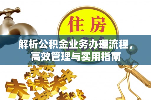 岳塘解析公积金业务办理流程，高效管理与实用指南