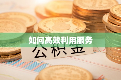 岳塘如何高效利用服务