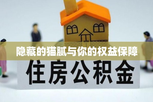 岳塘隐藏的猫腻与你的权益保障