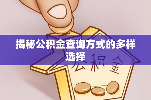 岳塘揭秘公积金查询方式的多样选择