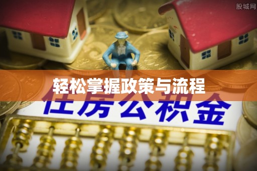 岳塘轻松掌握政策与流程