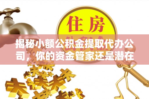 岳塘揭秘小额公积金提取代办公司，你的资金管家还是潜在风险？