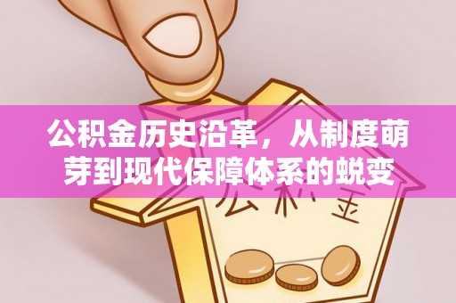 岳塘公积金历史沿革，从制度萌芽到现代保障体系的蜕变