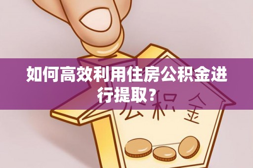 岳塘如何高效利用住房公积金进行提取？